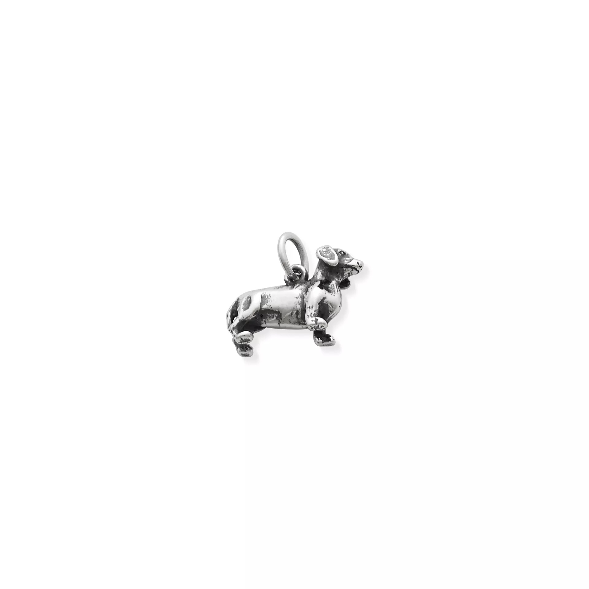 Dachshund Charm